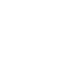 동물